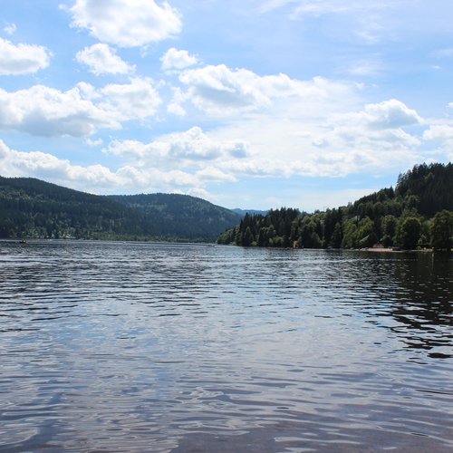 Urlaub im Schwarzwald (16)